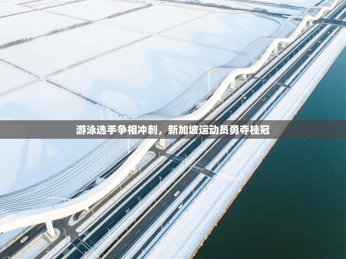 游泳选手争相冲刺，新加坡运动员勇夺桂冠  第2张