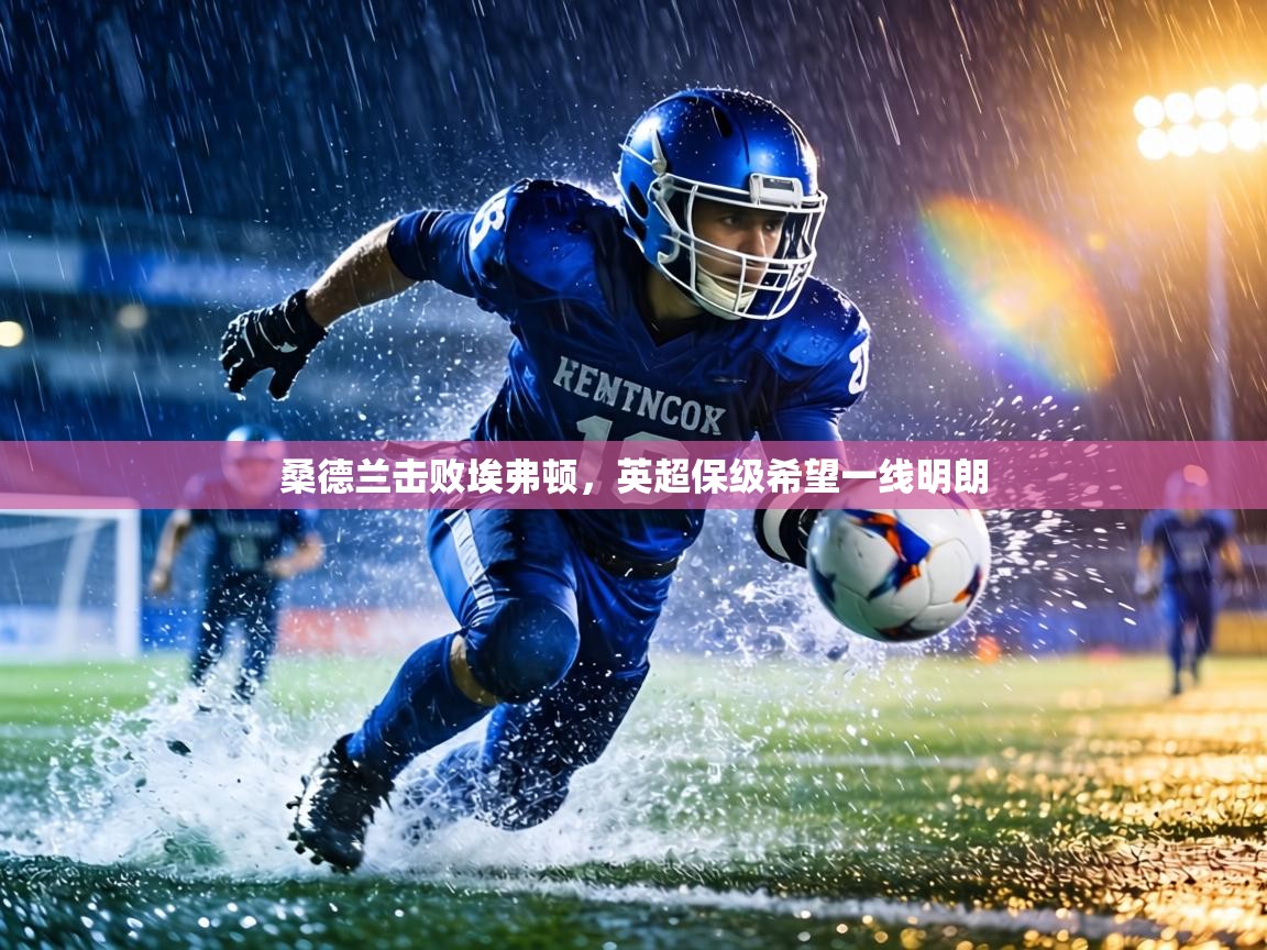 桑德兰击败埃弗顿，英超保级希望一线明朗  第2张