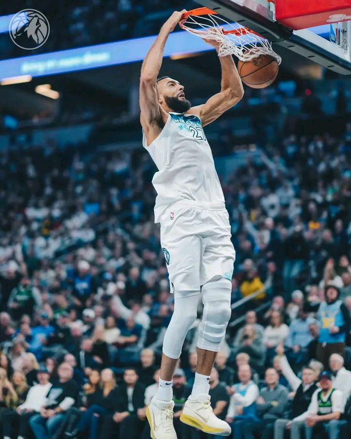 爱游戏网页版登录入口-森林狼主场苦败步行者，全队亟待弥补缺陷