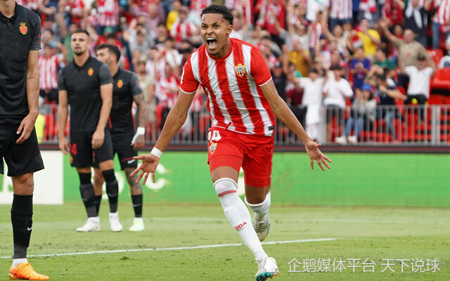 阿尔梅里亚主场告捷,提升保级机会的简单介绍 阿尔梅里亚主场告捷,提升保级机会的简单介绍