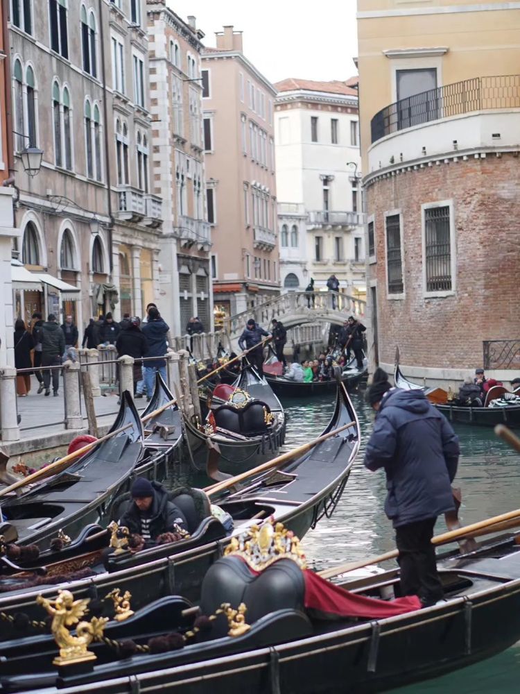 冰岛队誓言夺冠,欧洲赛场逆风破浪 冰岛队誓言夺冠,欧洲赛场逆风破浪